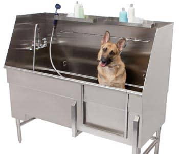 Banheira Inox para Pet Shop